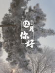 12月你好