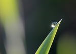 雨