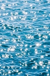 雨