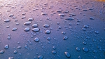 雨