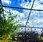 雨
