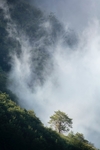 雨