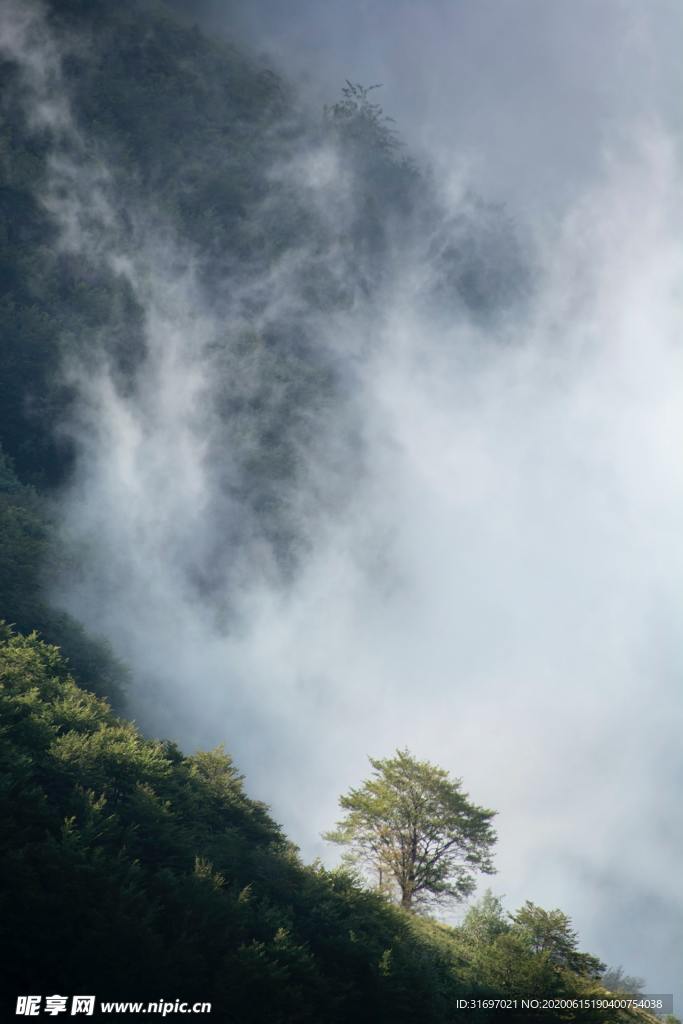 雨