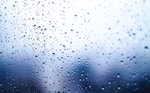 雨