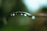 雨