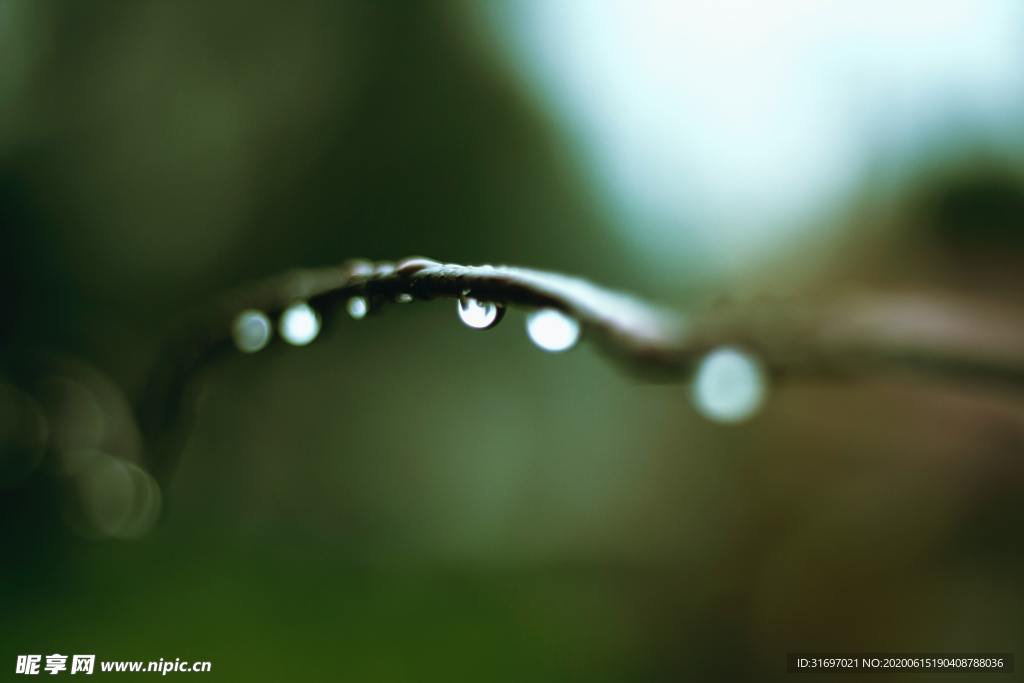 雨