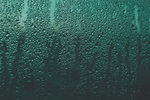 雨