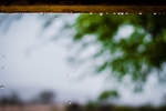 雨