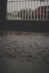 雨