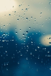 雨