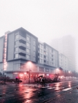 雨