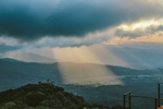 雨