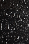 雨