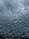 雨