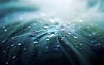雨