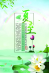 夏至海报