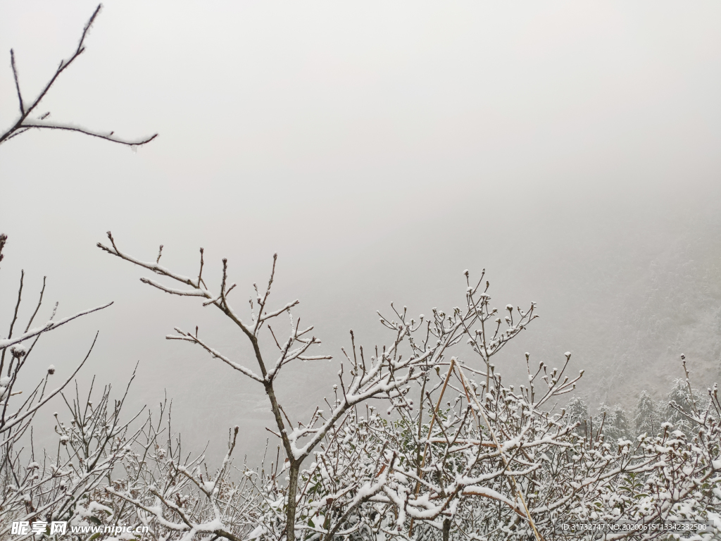 雪景