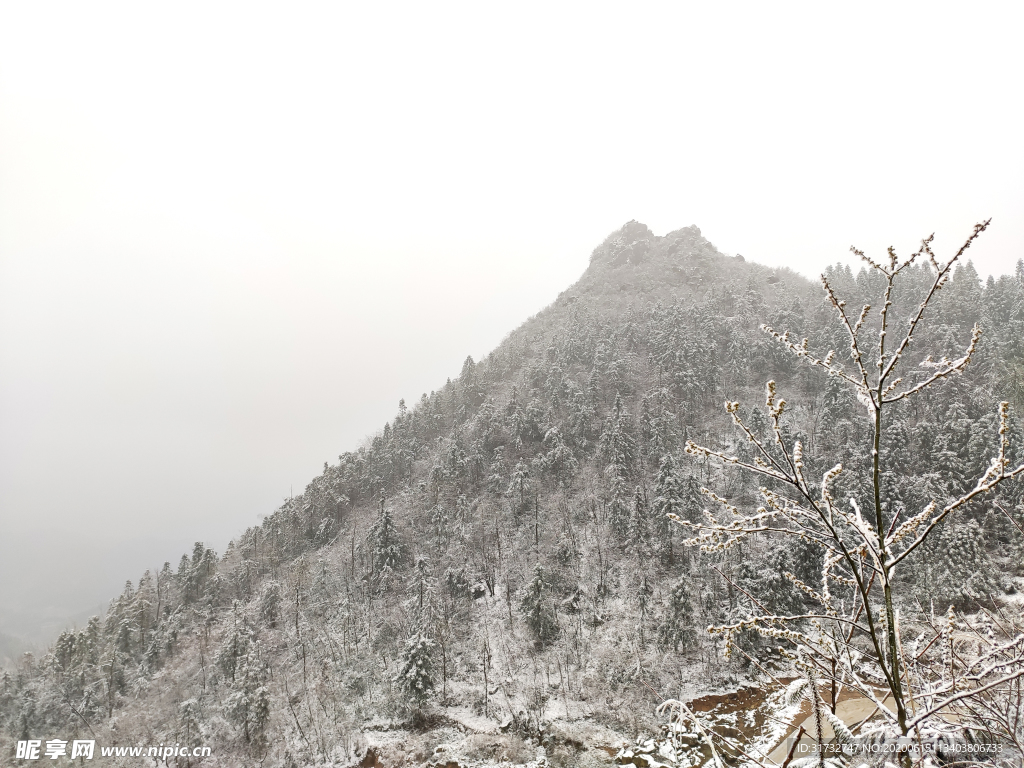 雪景