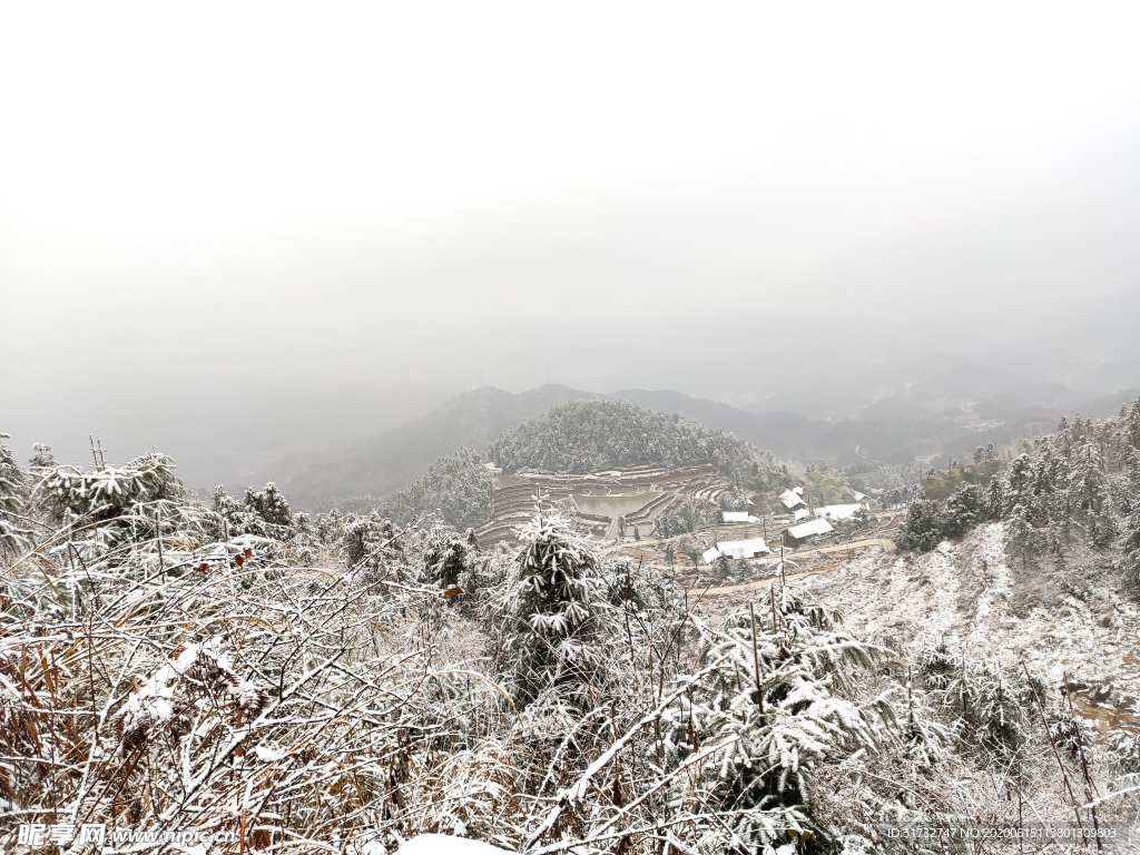 雪景