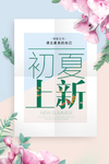 初夏上新