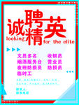 诚聘精英