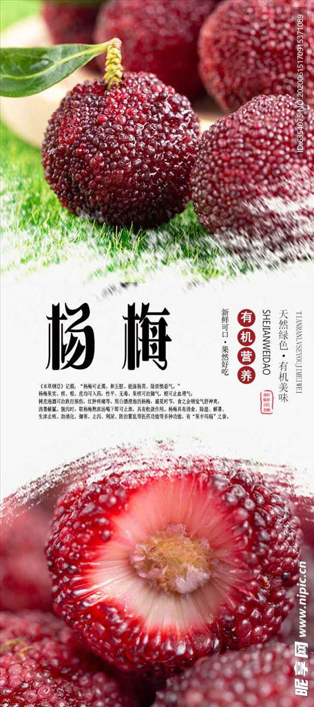 杨梅