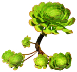 免扣花卉素材
