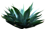 免扣植物素材