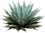 免扣植物素材