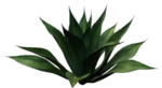 免扣植物素材