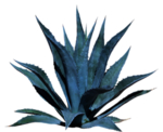 免扣植物素材