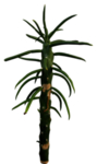 免扣植物素材