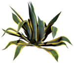 免扣植物素材