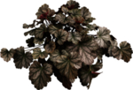 免扣植物素材