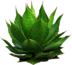 免扣植物素材