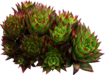 植物免扣素材