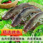 烤鱼