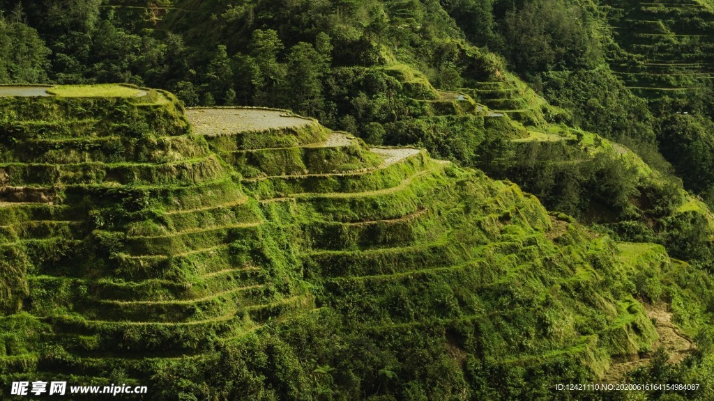 梯田
