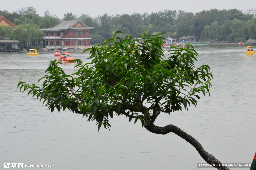 湖水风景