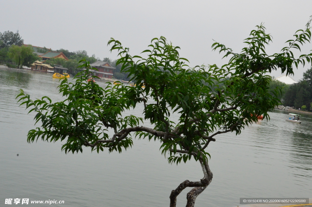 湖水风景