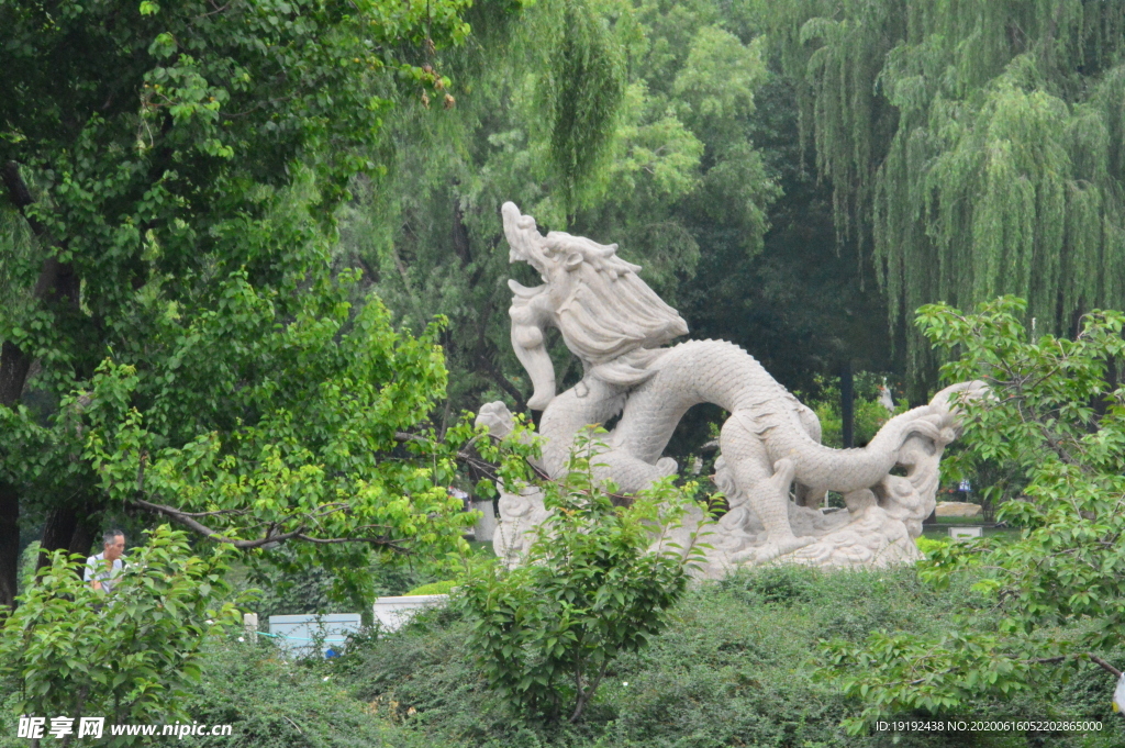 公园风景