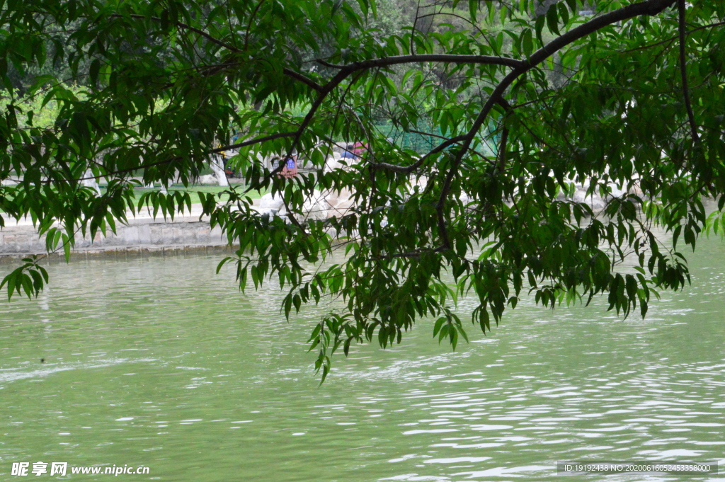 公园风景