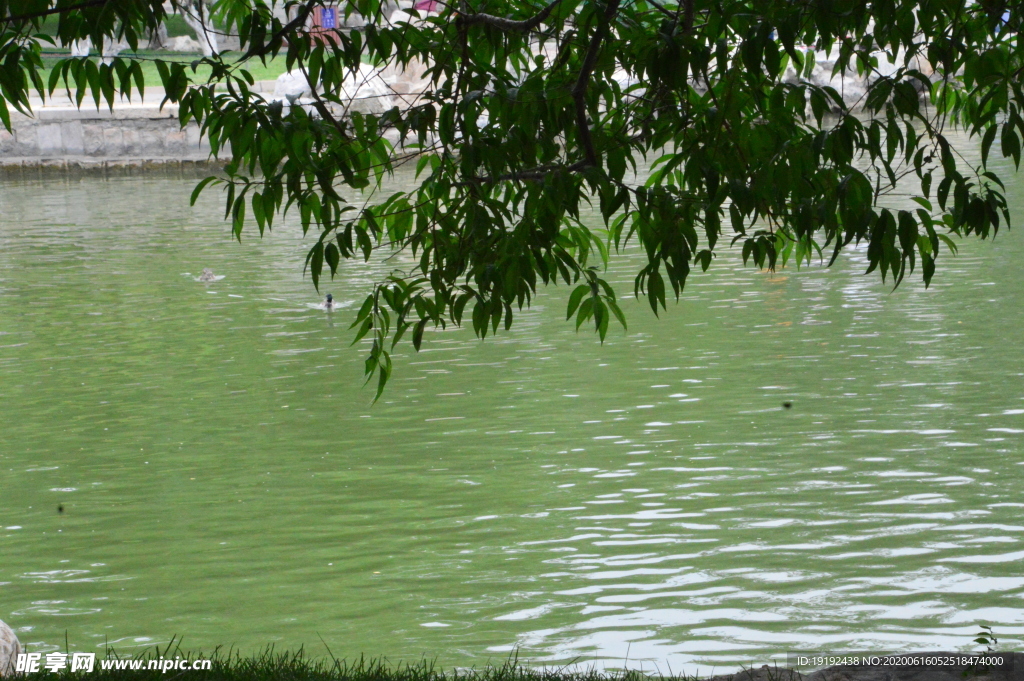 湖水风景