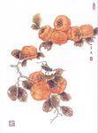 精美工笔国画