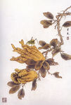 精美工笔国画