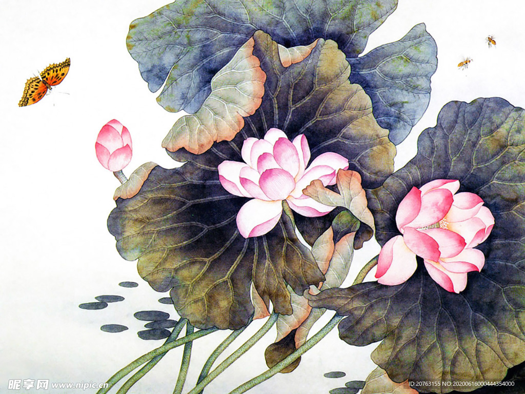 精美工笔国画