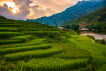 唯美风景