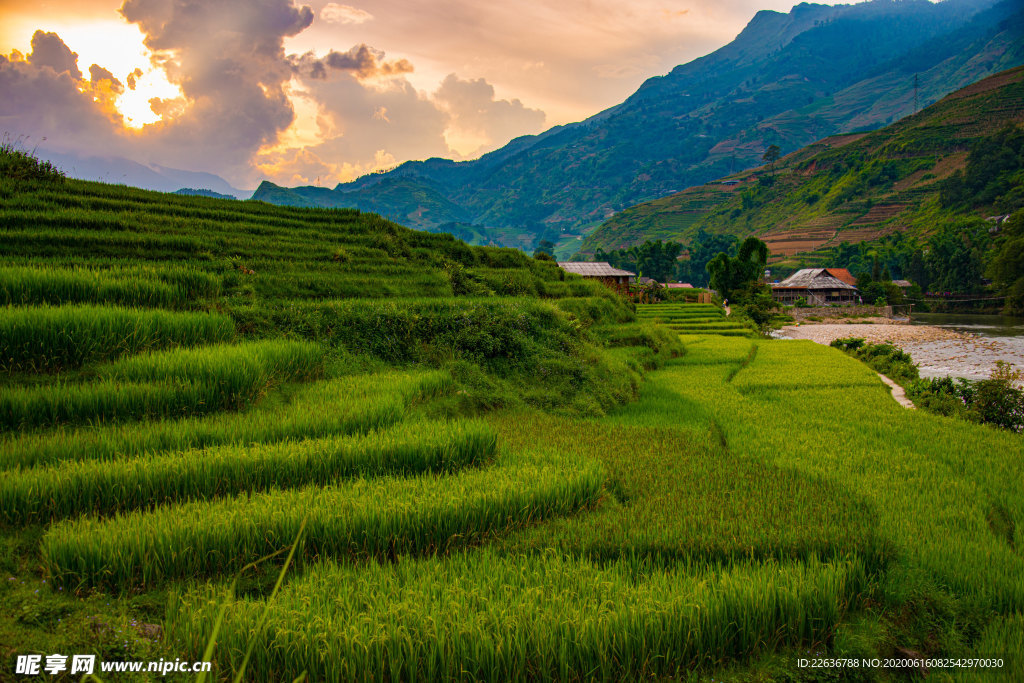 唯美风景