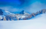 森林雪景