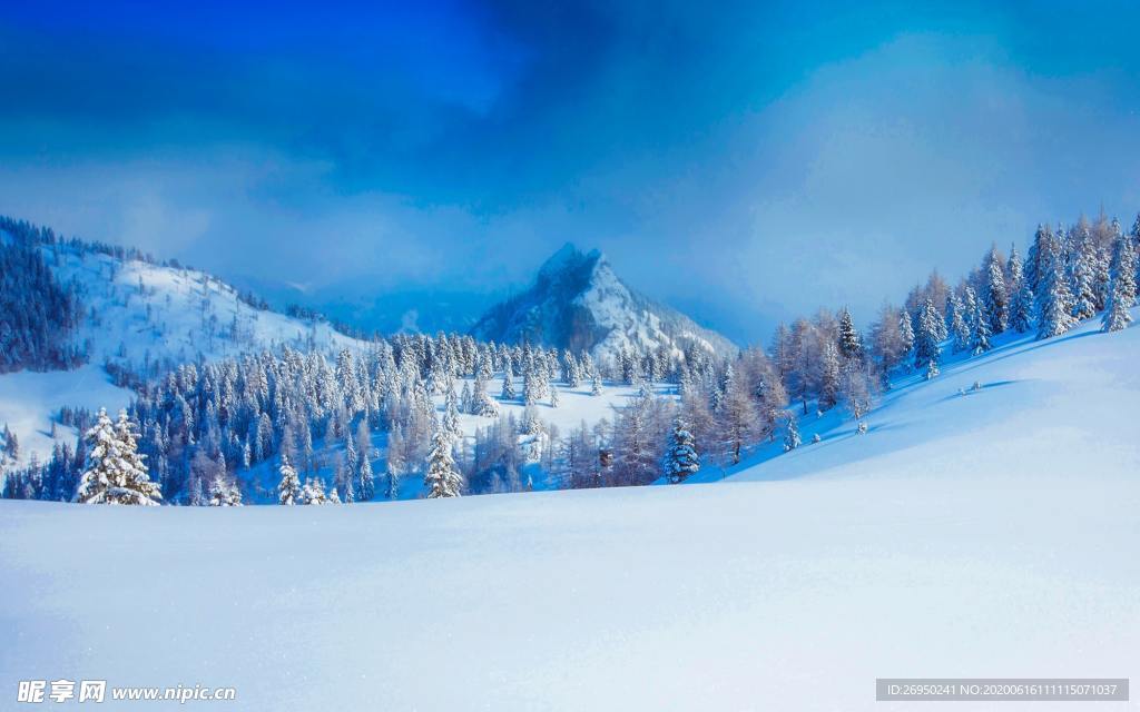 森林雪景